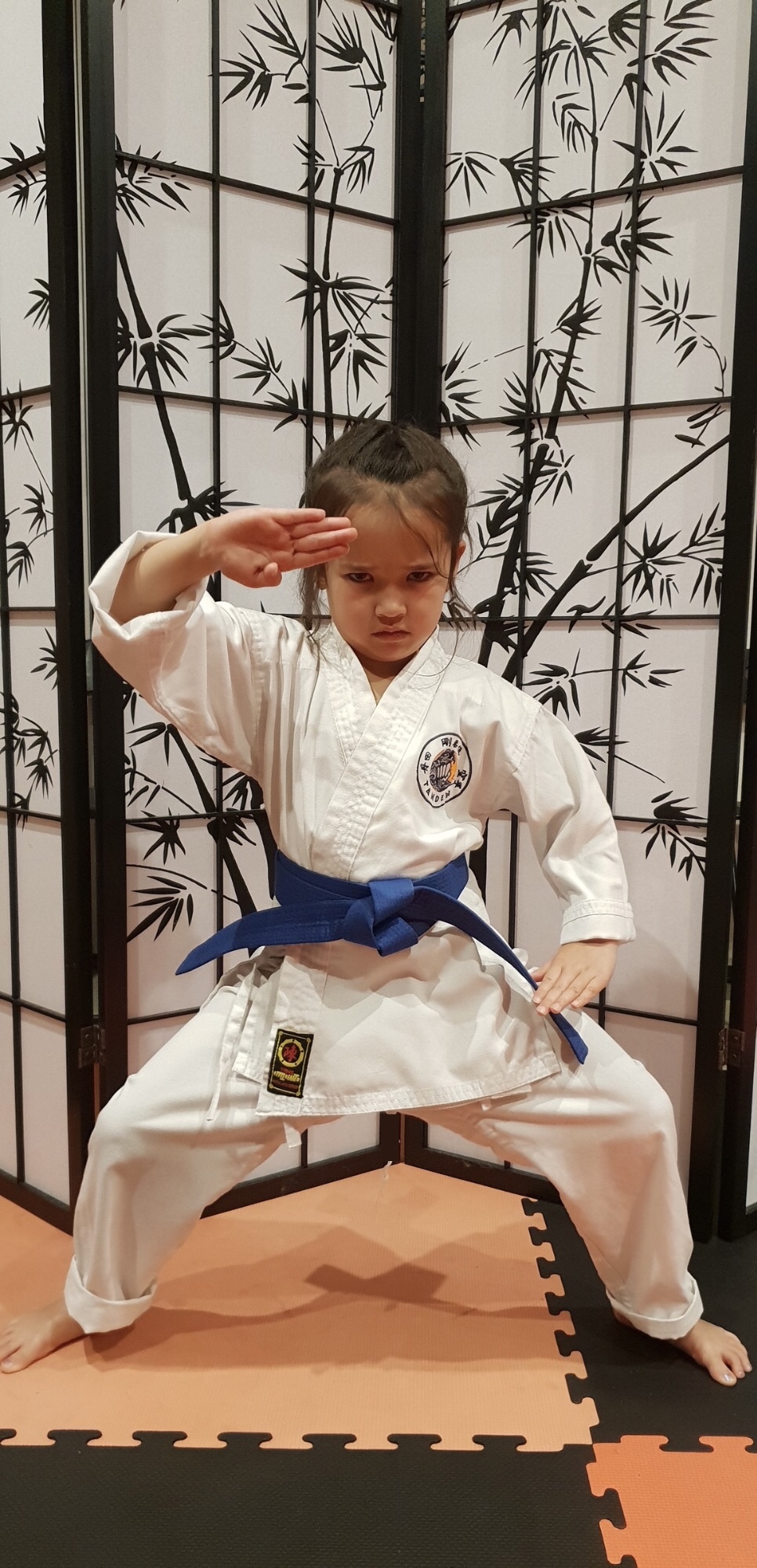 Alaya McDonald of Tanden Martial Arts, Jan Juc, is invited to train in Tokyo